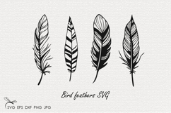 Bird feathers SVG Files Product Image 1