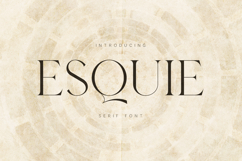 Esque Elegant Modern Serif Font Product Image 1