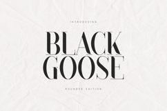Black Goose Rounded Serif Font Product Image 1