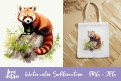 Red Panda PNG Sublimation. Red Panda Watercolor Clipart Product Image 1