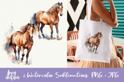 2 Horse PNG Sublimation Design. Watercolor Horse Clipart Product Image 1