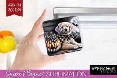 Golden Retriever Dog Magnet Sublimation Halloween Square PNG Product Image 1