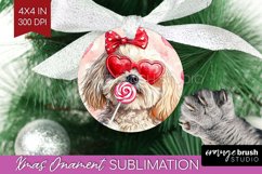 Havanese Valentine Ornament PNG Valentines Day PNG Product Image 1