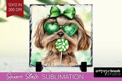 Havanese St. Patricks Day Dog Slate PNG Dog Square Slate Product Image 1