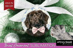Newfoundland Dog Ornament PNG Blue Toile PNG Sublimation Product Image 1
