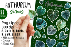 Anthurium House Plants Stickers |Png/Jpeg Print and cut Product Image 1