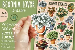 Begonia House Plants Stickers |Png/Jpeg Print and cut Product Image 1