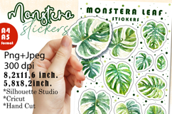 Monstera Houseplants Stickers |Png/Jpeg Print and cut Product Image 1