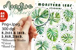Monstera Houseplants Stickers |Png/Jpeg Print and cut Product Image 1