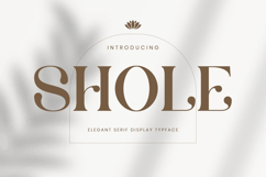 Shole Product Image 1