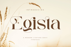 Egista Product Image 1