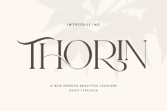 Thorin Product Image 1