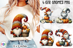 Cute Autumn Gnomes PNG, Fall Harvest Gnome Sublimation Product Image 1