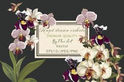 Hand drawn vector orchids Product Image 1