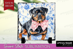 Rottweiler Dog Slate PNG Blue Toile Square Slate Sublimation Product Image 1