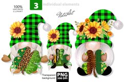 scandinavian gnome st. patrick's day png Product Image 1