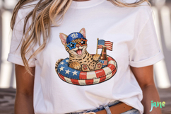 Patriotic Cat Collection PNG Product Image 2