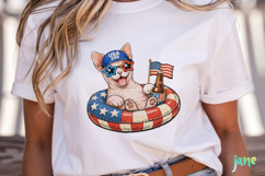 Patriotic Cat Collection PNG Product Image 4