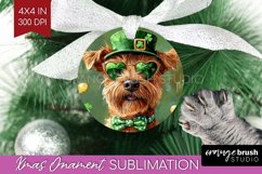 St. Patricks Day Ornament PNG - Cute Animals PNG Sublimation Product Image 1