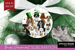 St. Patricks Day Ornament PNG - Cute Animals PNG Sublimation Product Image 1