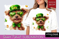 St. Patricks Day Square Tshirt Background - Cute Animals PNG Product Image 1