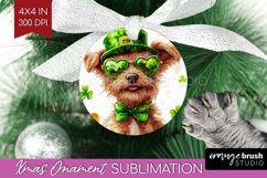 St. Patricks Day Ornament PNG - Cute Animals PNG Sublimation Product Image 1
