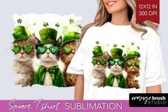 St. Patricks Day Square Tshirt Background - Cute Animals PNG Product Image 1