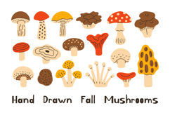 Hand Drawn Forest Mushrooms PNG Clipart Product Image 1