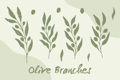 Hand Drawn Olive Branches PNG Clipart Product Image 1