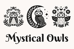 Mystical Owls Product Image 1