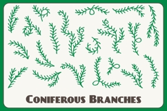 Coniferous Branches PNG Clipart Product Image 1
