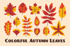 Colorful Autumn Leaves PNG Clipart Product Image 1