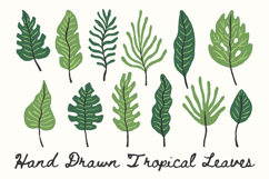 Hand Drawn Tropical Leaves PNG Clipart Product Image 1