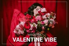 30 Valentine Vibe LUTs Bundle Product Image 1