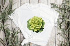 Watercolor Vegetable Collection Clipart Product Image 2