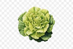 Watercolor Vegetable Collection Clipart Product Image 3