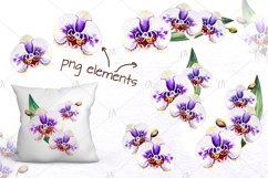 You can find single orchid flowers, flower compositions and bouquettes for festive events, birthday, wedding, Mother&#039;s day, Valentine&#039;s day, different decorations and greeting cards. You can use this product for sublimation, greetings, printintings