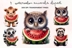 Watermelon Animals Clipart PNG Product Image 1