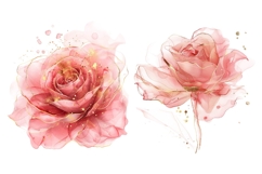 30 Watercolor Rose Clipart, Pink Floral PNG, Wedding Flowers Product Image 10