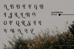 Ravsten - Stylish Serif Font Product Image 10