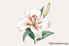 Christian Easter Watercolor Clipart Bundle PNG Product Image 9