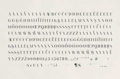 Typorama Elegant Serif Font Product Image 10