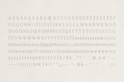 Solhene A Sophisticated Serif Font Product Image 10