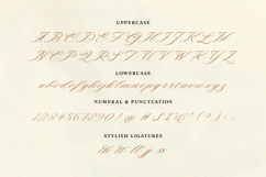 Monarchy Script Product Image 10