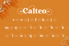 Calteo - Luxury Modern Serif Font Product Image 11