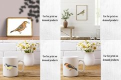 Vintage Birds, Antique Birds Clipart Product Image 10