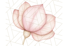 Pastel Pink Easter Bunny Egg and Flowers Clipart PNG Product Image 4