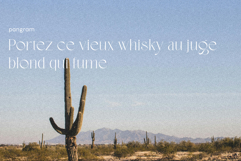 Corigo Elegant Font Product Image 10
