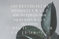 Seroja Product Image 10