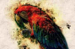 Collection of 12 Images 4k of BIRDS 300 dpi Product Image 7